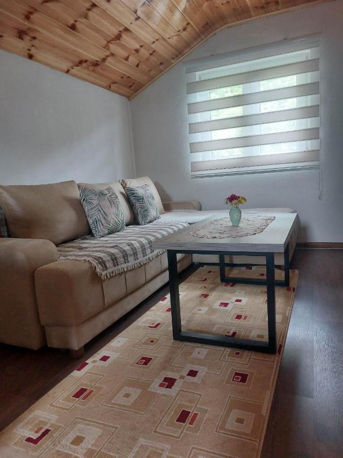 Apartman Branko 콜라신 외부 사진